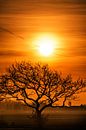 Zonsondergang in de Westhoek van Harrie Muis thumbnail