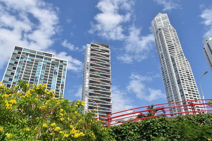 View of the city from the park by Claude Laprise