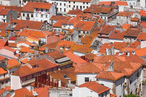 Dächer,   Altstadt , Coimbra, Beira Litoral, Regio Centro, Portugal