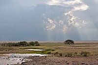 A miracle of light in the vastness - a magical moment in Etosha National Park