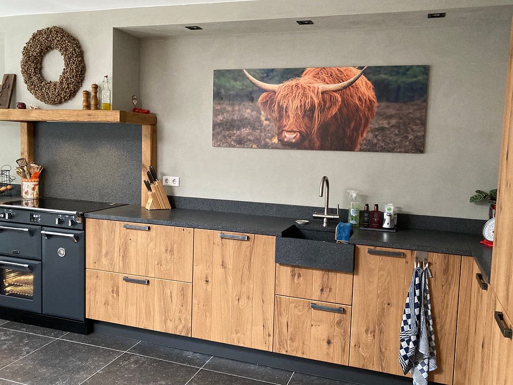 Schotse Hooglander close up portret van Sjoerd van der Wal Fotografie