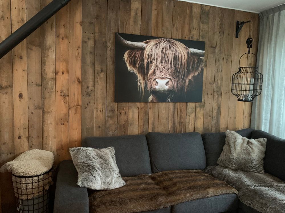 Schottischer Highlander von Mark van der Walle