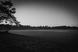 Wage and Drunken Dunes