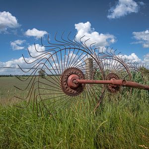 Graslandschaft in Gaasterland, Friesland, mit Heumacher