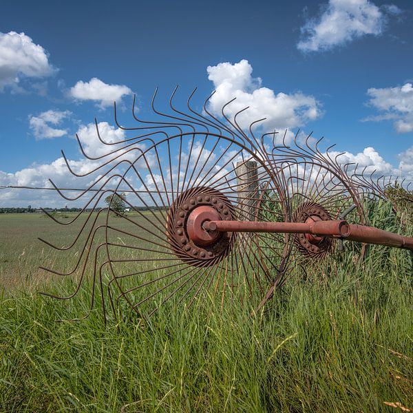 Grass landscape in Gaasterland, Friesland, with haymaker by Harrie Muis