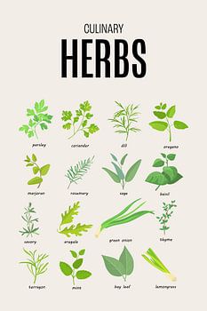 Herbs Kitchen Poster