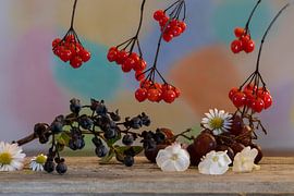 L'art sur l'étagère sur Jolanda de Jong-Jansen