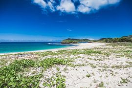 Sumbawa Strand von Andy Troy