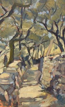 Stone footpath through the olive grove by Nop Briex