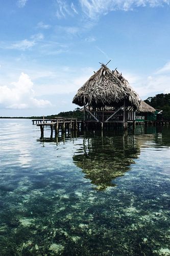 Panama Tropical resort