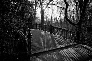 Die Pater-van-Kilsdonk-Brücke im Vondelpark Amsterdam.