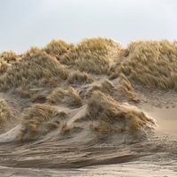 Ameland