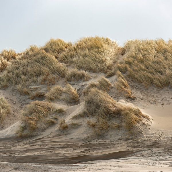 Ameland von Jeannette Kliebisch