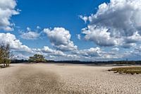 Soestduinen