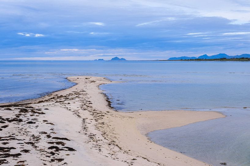 Strand auf den Lofoten von Joke Beers-Blom