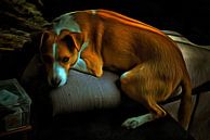Tan And White Dog Missing Daddy by Dorothy Berry-Lound thumbnail