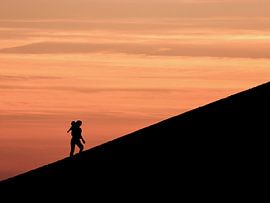 On the way to the top. by Wim van Gerven