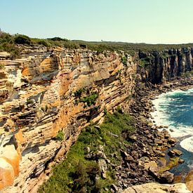 Ruwe natuur Sydney van Nadia Langenberg