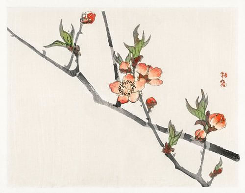 Perziken bloesem door Kōno Bairei (1844-1895)