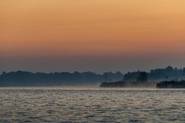 De Brabantse Biesbosch vanf de Amer van Wildfotografie NL