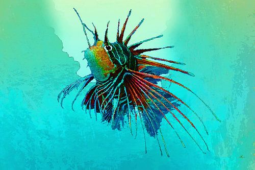 Onderwaterwereld | 07