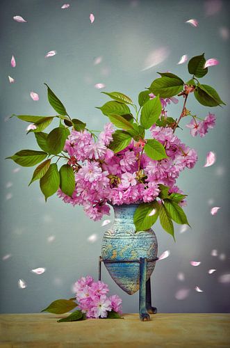 Cherry Blossom Still Life