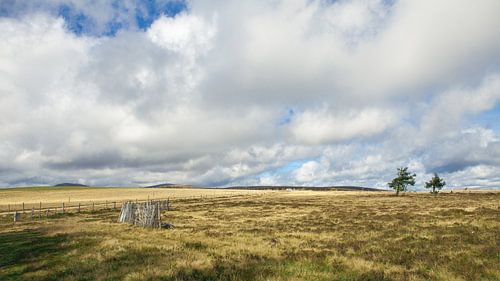 Landschap in de Franse Auvergne