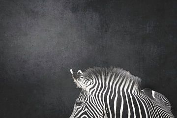 Tijdloze Strepen Zebra in Minimalistisch Portret van Femke Ketelaar