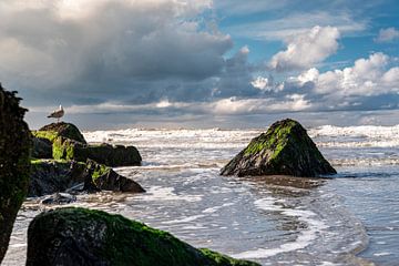 North Sea surf by M.J. Lagerwerf