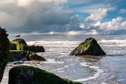 North Sea surf