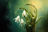 Schneeglöckchen | Erste Blüte Schimmer