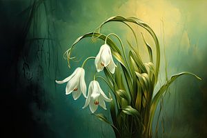 Schneeglöckchen | Erste Blüte Schimmer