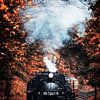 Locomotive à vapeur dans la forêt d'automne sur Oliver Henze