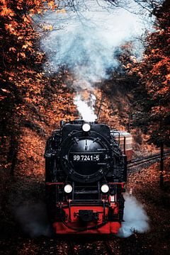 Stoomlocomotief in het herfstbos van Oliver Henze