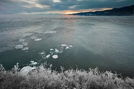 Cold waters. The pink sun rises over the icy waters