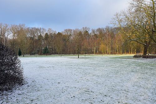 Middagzon over Winters Rivierenhof