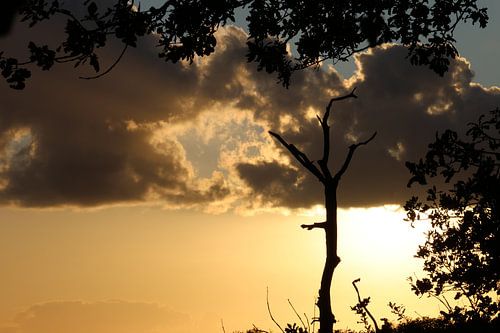 Eenzaam silhouet aan de wolkenzee