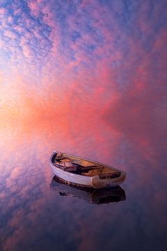 Delicate sound of silence ( concept ) sur Yannick Lefevre