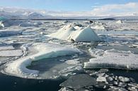 Lac d'icebergs Jökulsárlón par Antwan Janssen Aperçu
