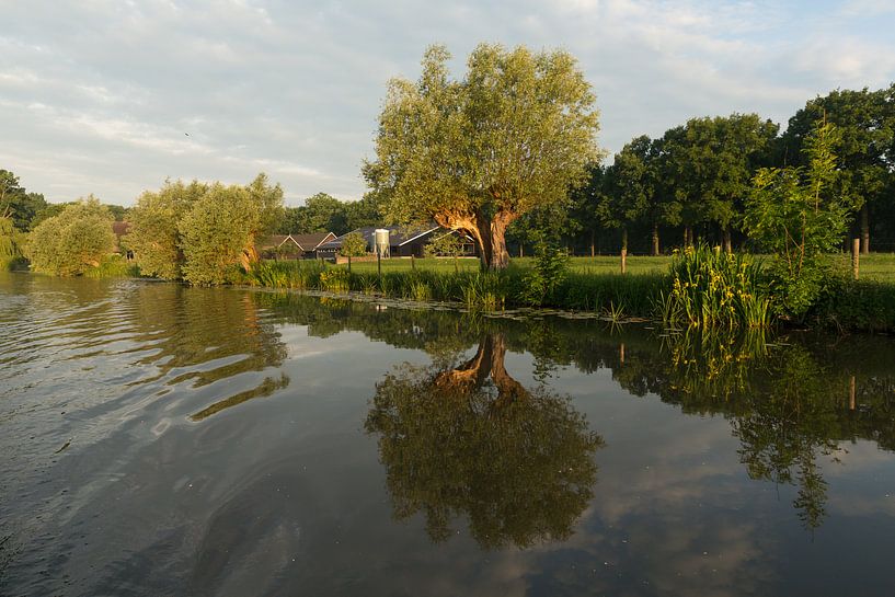 Vroege ochtend op de Kromme Rijn van Marijke van Eijkeren