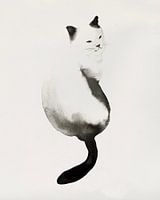 Black Kitten I, PI Studio 