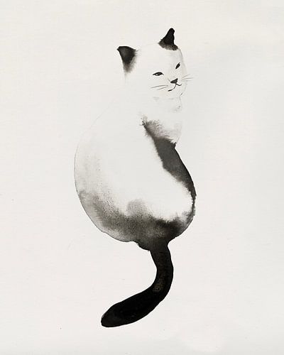 Black Kitten I, PI Studio 