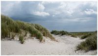 Nuages sombres sur les dunes