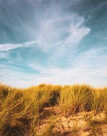 Dunes by adriaan de waele