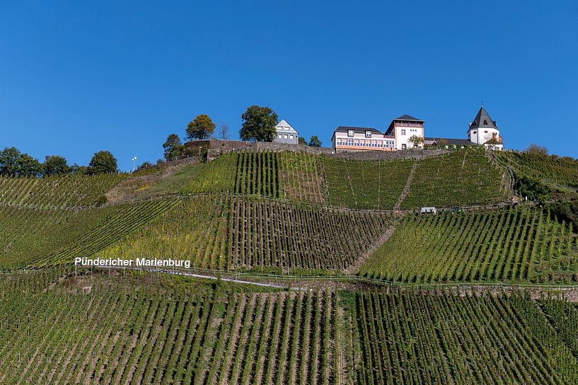 Pünderich van Richard Wareham