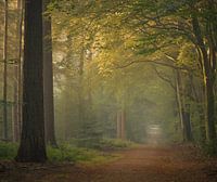 Speulderbos
