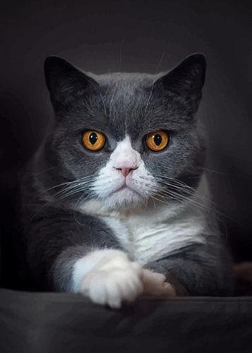 Whiskers and Wonder: A Cat's Portrait