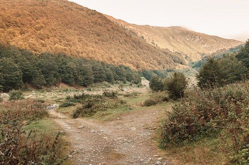 Groene weiden in de bergen van Prevalla in Prizren, Kosovo