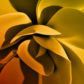 Hosta oranje/geel 3 van Charles Mulder