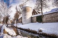 Winterse sneeuw bij de gracht en stadsmuur in Isny im Allgäu in Duitsland van Dieter Walther thumbnail